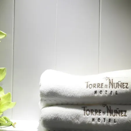 Torre De Nunez Луго