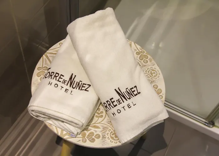 酒店 托雷努涅斯酒店 卢戈