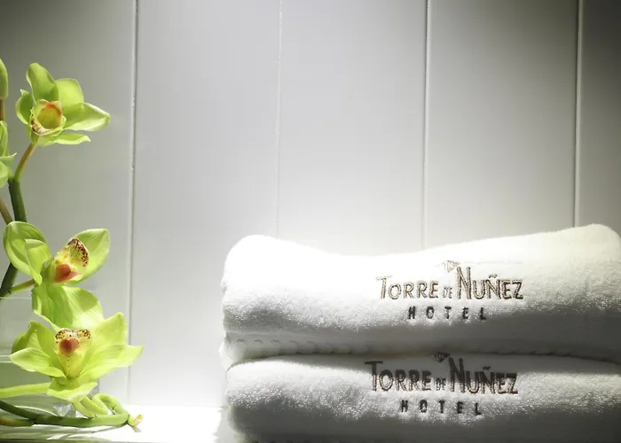 托雷努涅斯酒店 卢戈