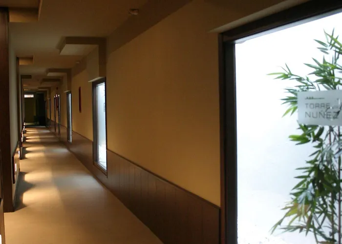 酒店 托雷努涅斯酒店 4*