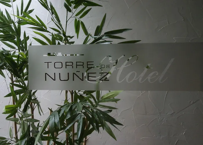 酒店 托雷努涅斯酒店 4*